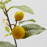 edg enzo de gasperi edg enzo de gasperi ramo limone artificiale con foglie e frutta h 105 cm green mix ean 8059824405074