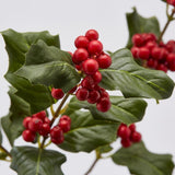 edg enzo de gasperi edg enzo de gasperi rex ramo natalizio con bacche e foglie h 66 cm verde rosso ean 8059824287687