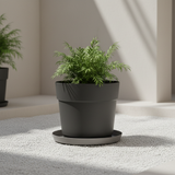 Sottovaso rotondo plastica riciclata 100%, Ø33 cm, Fog Grey Grigio Chiaro. TeraPlast Orma Saucer 33, −30°/+60°C, compensa CO₂ ean-8051560268401