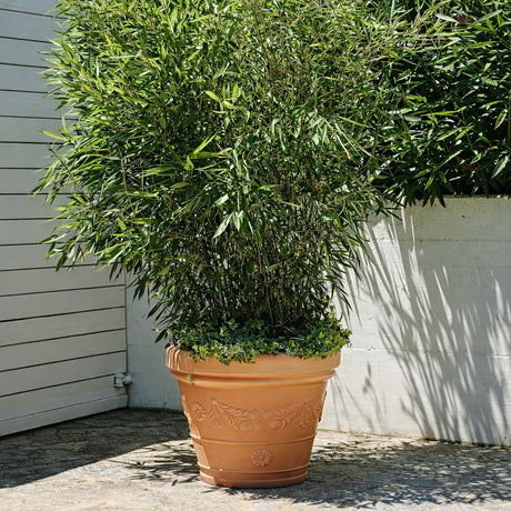 teraplast teraplast vaso festonato 50 resina anticato ean 8032841760128