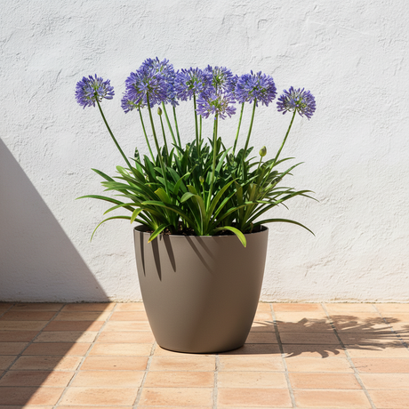 Vaso rotondo TeraPlast Bayon 50 Kit Sand, resina riciclabile Ø50×H45 cm, 55 lt, riserva d'acqua integrata, indoor/outdoor. Design naturale. 