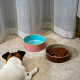 wd lifestyle wd lifestyle ciotola osso dog d 20 cm arancione giallo ean 8055035683096