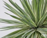 edg enzo de gasperi edg enzo de gasperi agave con vaso pianta artificiale h 45 cm verde ean 8059824518279