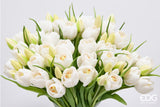 edg enzo de gasperi edg enzo de gasperi bouquete tulipano chiuso x4 h 40 cm con bocciolo bianco ean 8059824612748