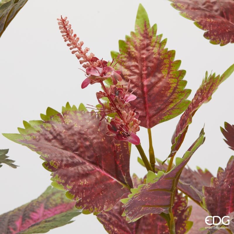 edg enzo de gasperi edg enzo de gasperi coleus ramo con bocciolo h 85 cm ass verde rosa 1 pz ean 8059824580122