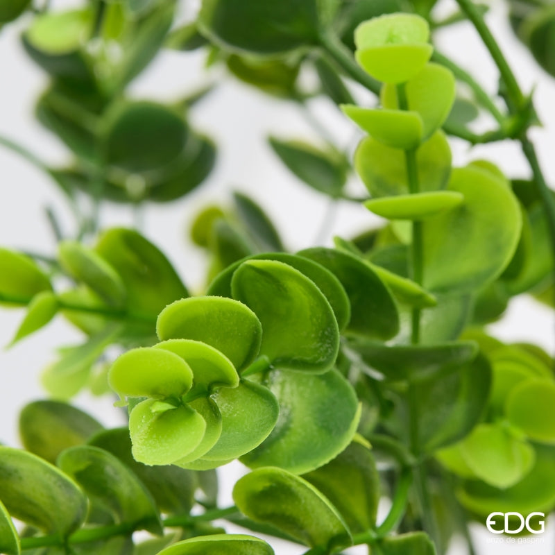 edg enzo de gasperi edg enzo de gasperi eucalipto anti uv cespuglio pianta artificiale h 37 cm verde ean 8059824658050