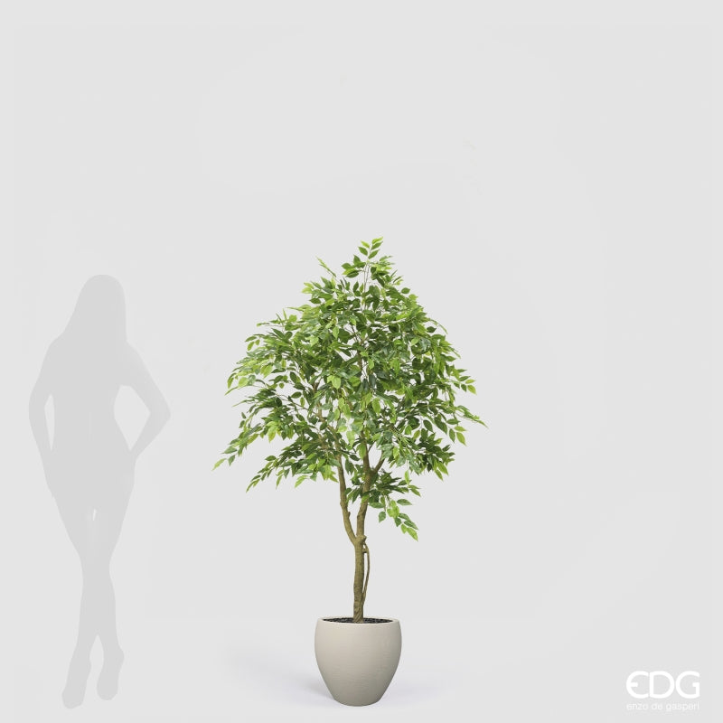 edg enzo de gasperi edg enzo de gasperi ficus beniamino vogue con vaso pianta artificiale h 170 cm verde ean 8059824607331