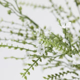 edg enzo de gasperi edg enzo de gasperi ginestra cespuglio pianta artificiale h 55 cm bianco ean 8059824484109