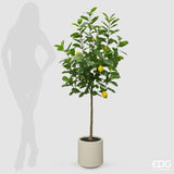 edg enzo de gasperi edg enzo de gasperi limone vogue x5 con vaso pianta artificiale h 160 cm verde giallo ean 8059824607416