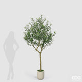 edg enzo de gasperi edg enzo de gasperi olivo con vaso h 210 cm pianta artificiale verde ean 8059824607508