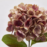 edg enzo de gasperi edg enzo de gasperi ortensia real touch con foglie ass h 60 cm rosa antico 1 pz ean 8059824379931