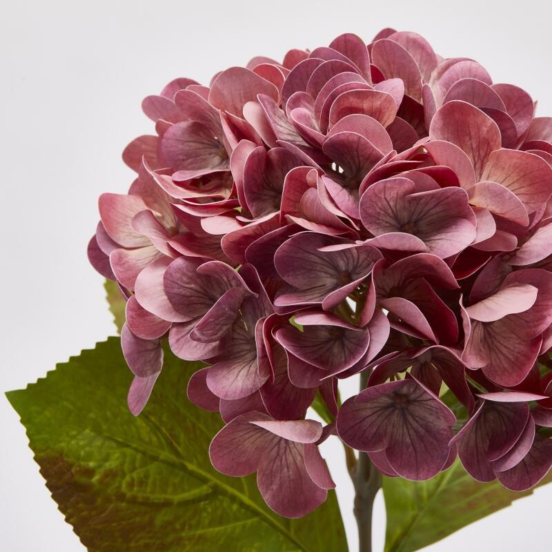 edg enzo de gasperi edg enzo de gasperi ortensia real touch con foglie ass h 60 cm rosa in due tonalita 1 pz ean 8059824379955