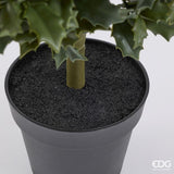 edg enzo de gasperi edg enzo de gasperi pianta artificiale agrifoglio h 157 cm con vaso anti uv verde per interno ed esterno ean 8059824655356