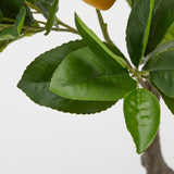 edg enzo de gasperi edg enzo de gasperi pianta artificiale di limoni bell con vaso pvc h 70 cm giallo verde ean 8059824134042