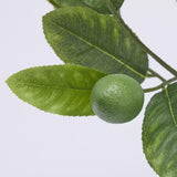 edg enzo de gasperi edg enzo de gasperi pianta artificiale di limoni con vaso h 48 cm green mix ean 8059824355850