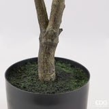 edg enzo de gasperi edg enzo de gasperi pianta artificiale ficus vogue con vaso h 150 cm pianta decorativa realistica design moderno ean 8059824655240