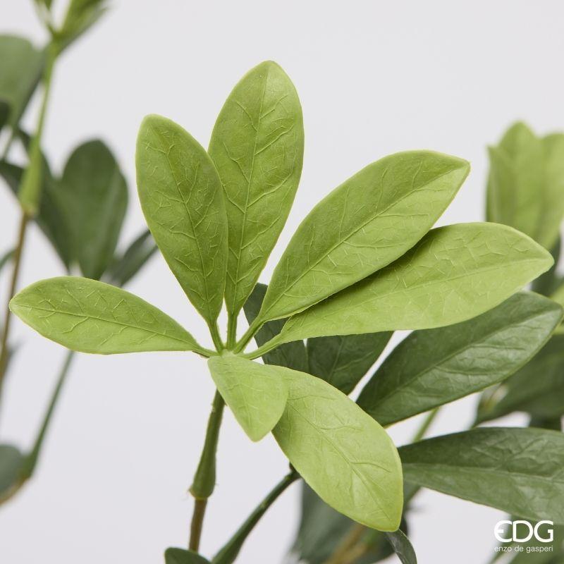 edg enzo de gasperi edg enzo de gasperi pianta artificiale schefflera cespuglio h 49 cm green mix pianta decorativa realistica design moderno ean 8059824664518