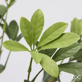 edg enzo de gasperi edg enzo de gasperi pianta artificiale schefflera cespuglio h 49 cm green mix pianta decorativa realistica design moderno ean 8059824664518