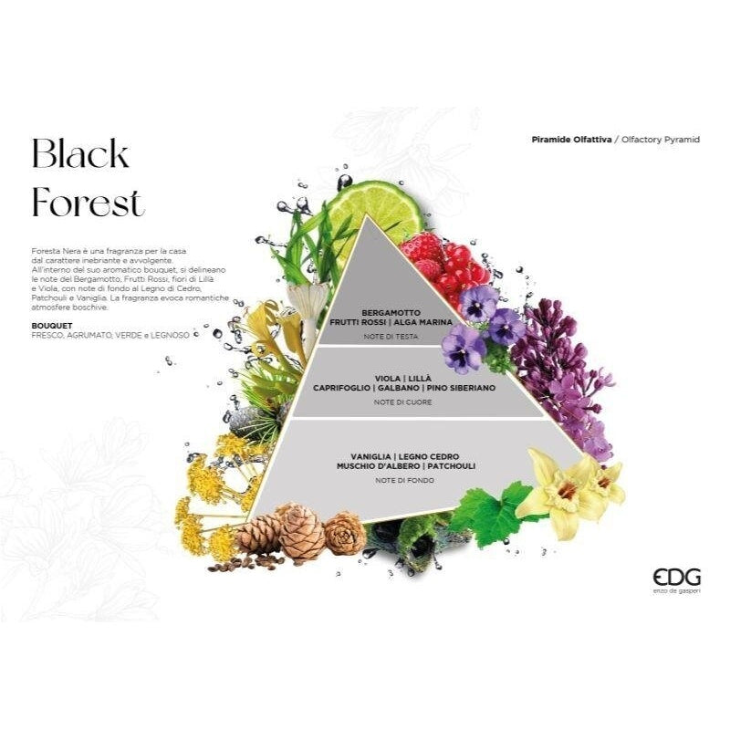 edg enzo de gasperi edg enzo de gasperi profumatore ambiente bottiglia diva 490 ml foresta nera diffusore fragranza design elegante ean 8059824655974