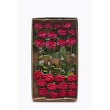 edg enzo de gasperi edg enzo de gasperi rosa alma olis 2 fg ass h 48 cm pianta artificiale colore beauty 1 pz ean 8059824012043