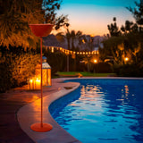 wd lifestyle wd lifestyle portazampirone da tavola e da terra con asta magnetica grigio ean 8055035680101