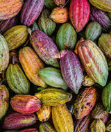 caffarel caffarel uovo dark ass fondente classico o con granella di cacao o con arancia 230 gr 1 pz