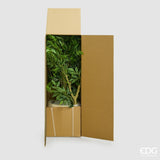 edg enzo de gasperi edg enzo de gasperi ficus beniamino vogue con vaso pianta artificiale h 170 cm verde ean 8059824607331