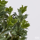 edg enzo de gasperi edg enzo de gasperi pianta artificiale agrifoglio h 157 cm con vaso anti uv verde per interno ed esterno ean 8059824655356