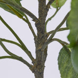 edg enzo de gasperi edg enzo de gasperi pianta artificiale di limoni con vaso h 56 cm green mix ean 8059824355898