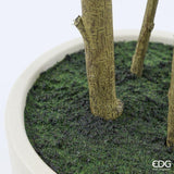 edg enzo de gasperi edg enzo de gasperi pianta artificiale ficus beniamino vogue con vaso h180 cm pianta decorativa realistica design moderno ean 8059824655073