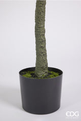 edg enzo de gasperi edg enzo de gasperi olivo con vaso h 190 cm pianta artificiale verde ean 8059824378644