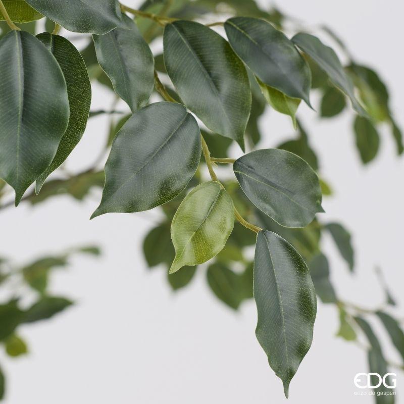 edg enzo de gasperi edg enzo de gasperi pianta artificiale ficus beniamino vogue con vaso h180 cm pianta decorativa realistica design moderno ean 8059824655073