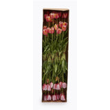 edg enzo de gasperi edg enzo de gasperi bouquet di 5 tulipani chiusi gomma olis ass h 40 cm rosa chiaro o scuro 1 pz ean 8059824081834