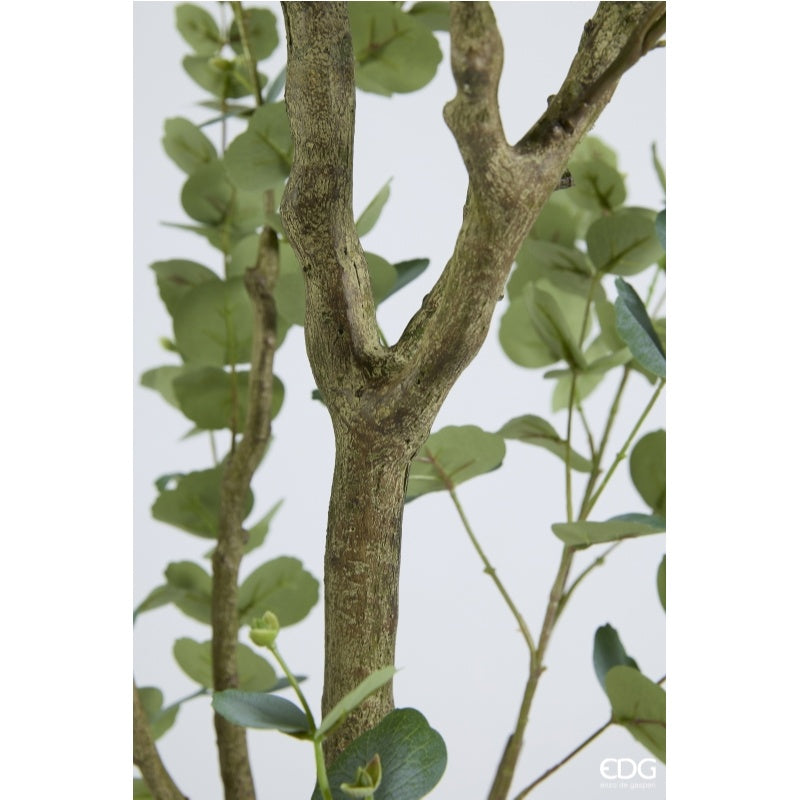 edg enzo de gasperi edg enzo de gasperi eucalipto con vaso h 210 cm pianta artificiale verde ean 8059824607461