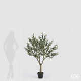 edg enzo de gasperi edg enzo de gasperi olivo con vaso h 157 cm pianta artificiale anti uv verde ean 8059824607614