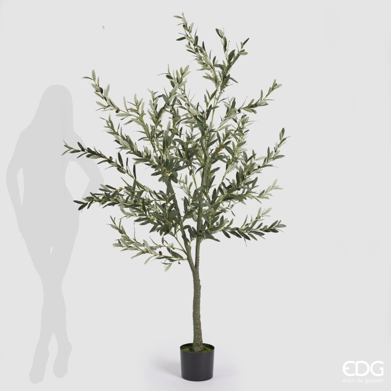 edg enzo de gasperi edg enzo de gasperi olivo con vaso h 190 cm pianta artificiale verde ean 8059824378644