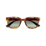 okkia okkia occhiale da sole premontato mod giovanni translucid sahara havana soft touch con lenti verde ean 8056211375316