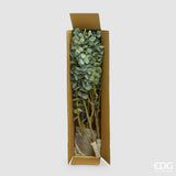 edg enzo de gasperi edg enzo de gasperi eucalipto con vaso h 210 cm pianta artificiale verde ean 8059824607461