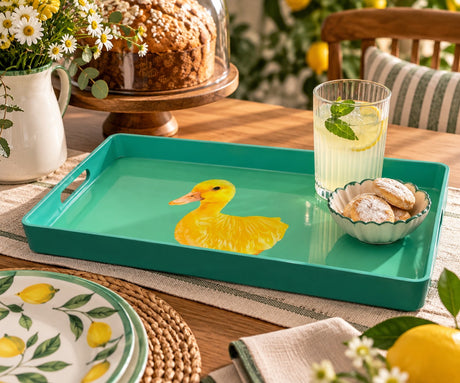 WD LifeStyle Plateau Rectangulaire Décor Canard 40x24 cm – Plateau de Service