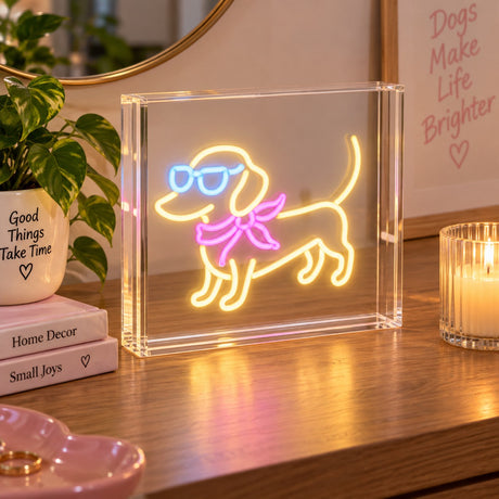 WD LifeStyle Enseigne Néon Bassotto 23x23 cm en Plexiglass – Lampe Décorative LED