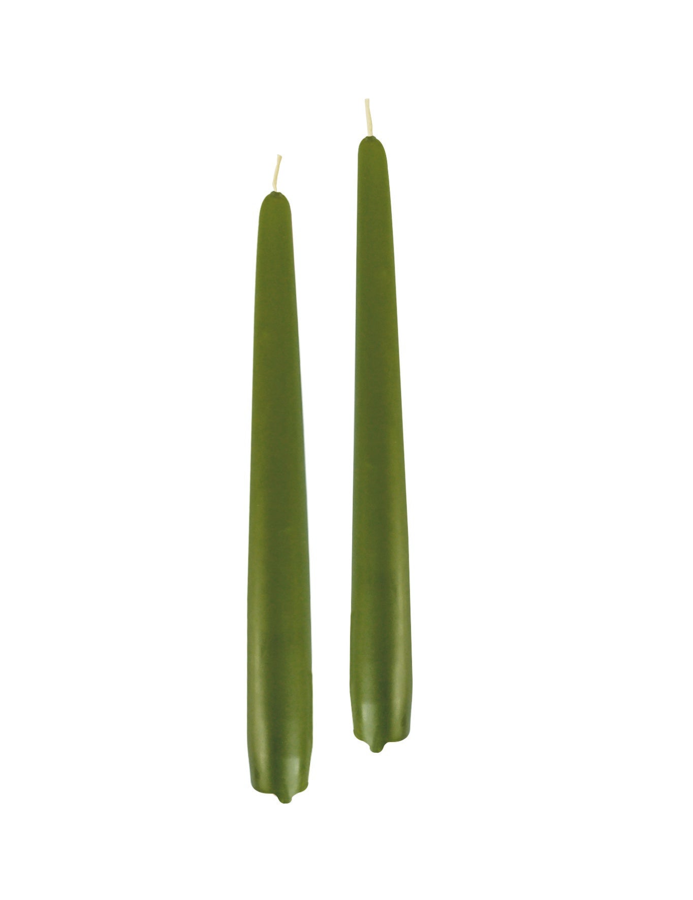 immagine-1-cereria-di-giorgio-cereria-di-giorgio-candele-coniche-22-cm-h-25-cm-10-pz-verde-muschio-ean-8006545064905