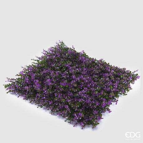 immagine-1-edg-enzo-de-gasperi-bosso-siepe-1mtx1mt-b2-lilac