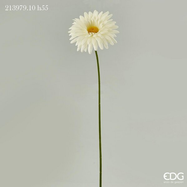 immagine-1-edg-enzo-de-gasperi-gerbera-prix-ramo-h55-16-white