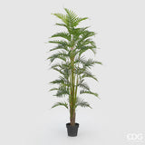 immagine-1-edg-enzo-de-gasperi-palma-areca-cvaso-pvc-h180-45fg-b7-green