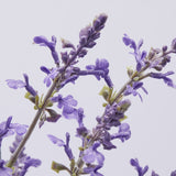 immagine-2-edg-enzo-de-gasperi-ramo-lavanda-h-80-lavender-ean-8059824358127