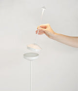 immagine-4-zafferano-pina-pro-corten-lampada-da-tavolo-a-led-h29cm